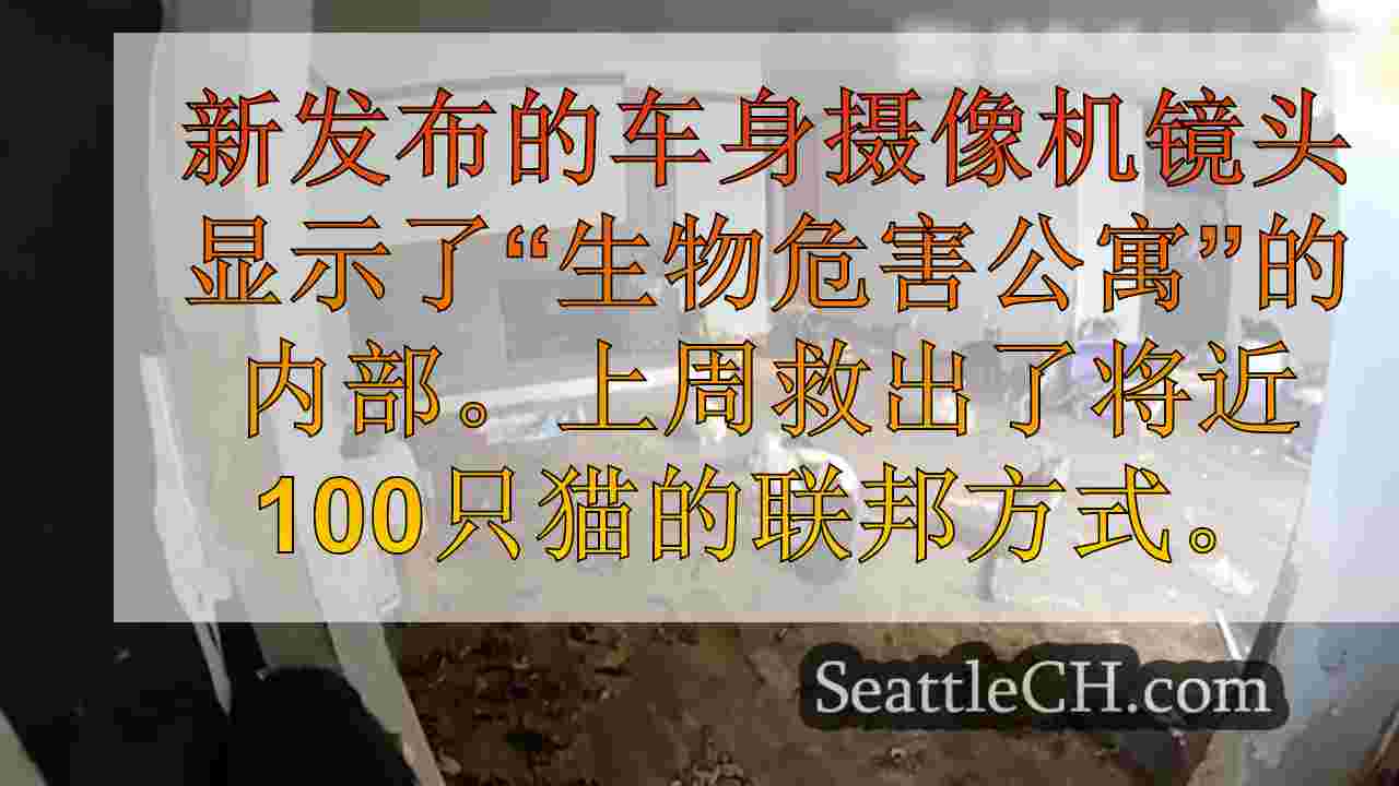 西雅图新闻 SeattleCH