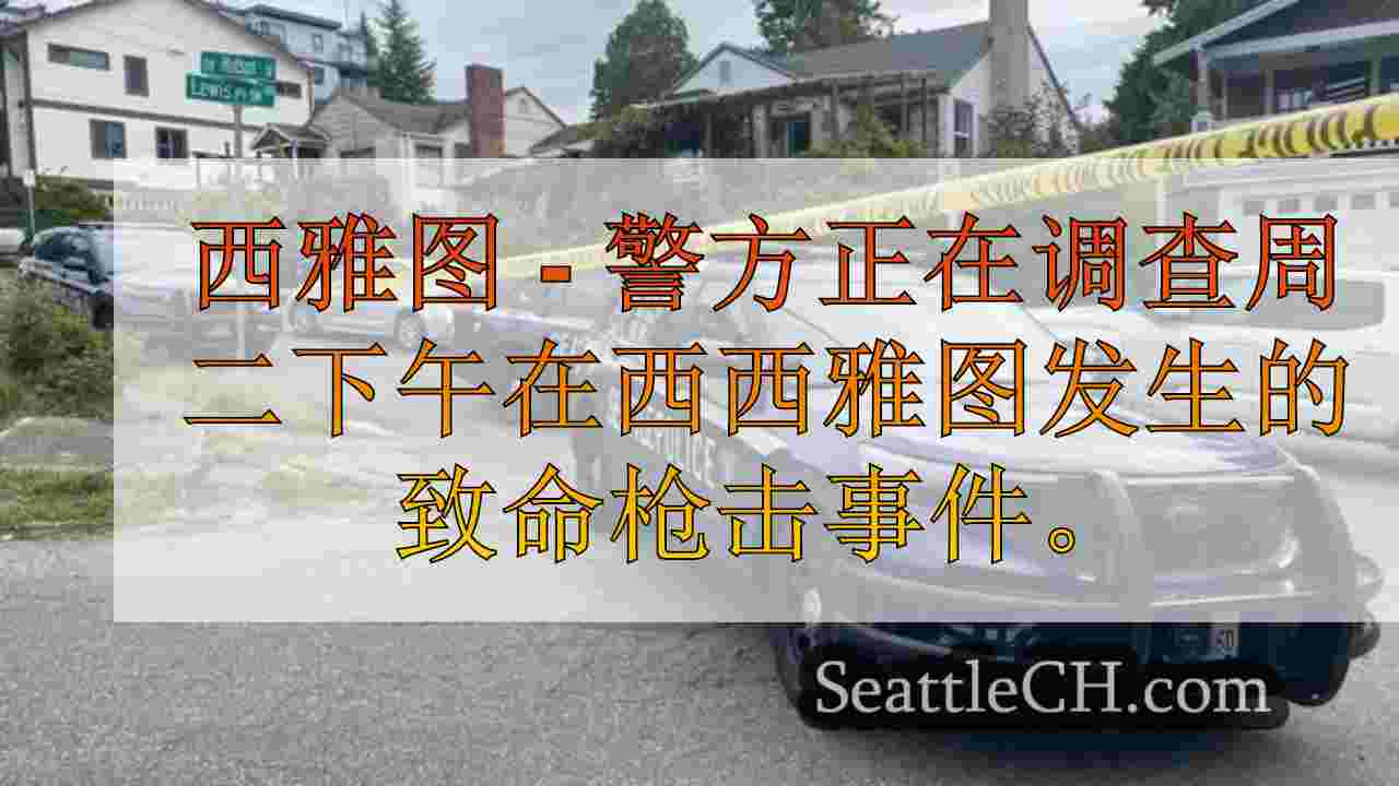 侦探调查枪击事件，该射击使57岁的妇女死在西西雅图