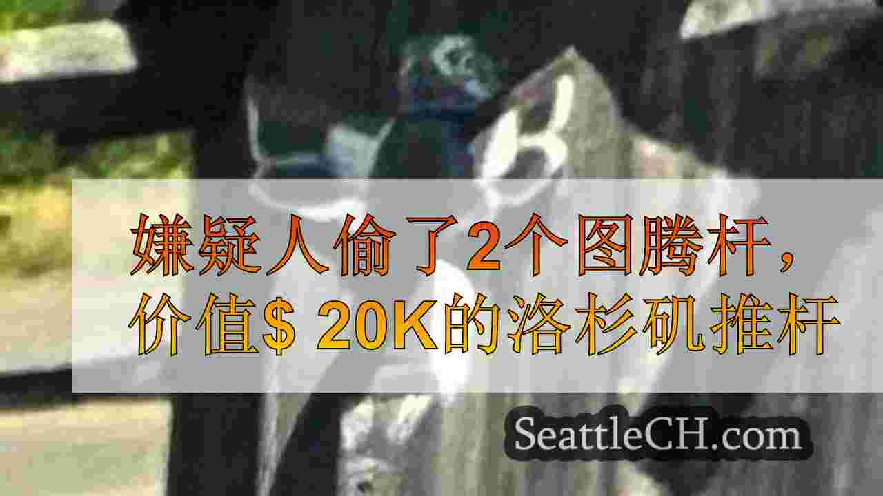 嫌疑人偷了2个图腾杆，价值$ 20k的洛杉矶推杆