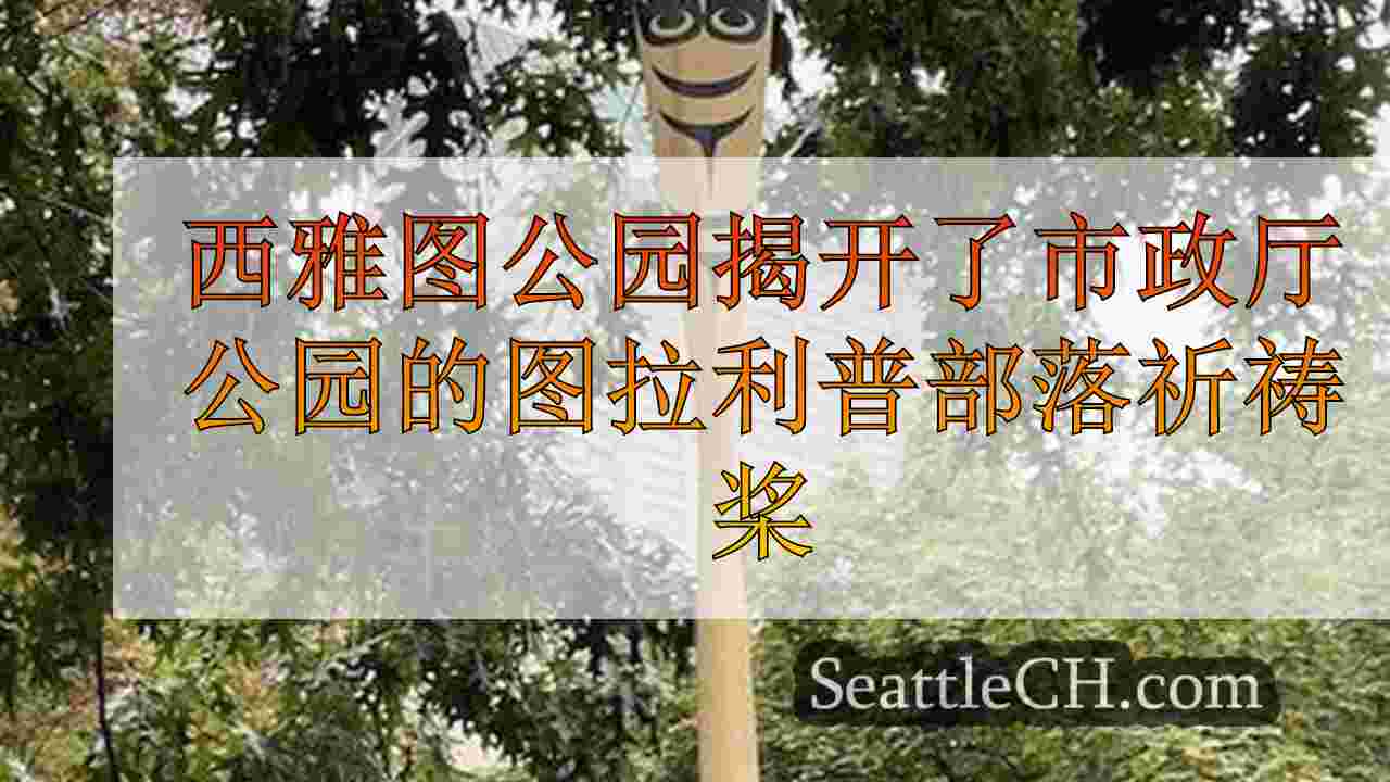 西雅图公园揭开了市政厅公园的图拉利普部落祈祷桨
