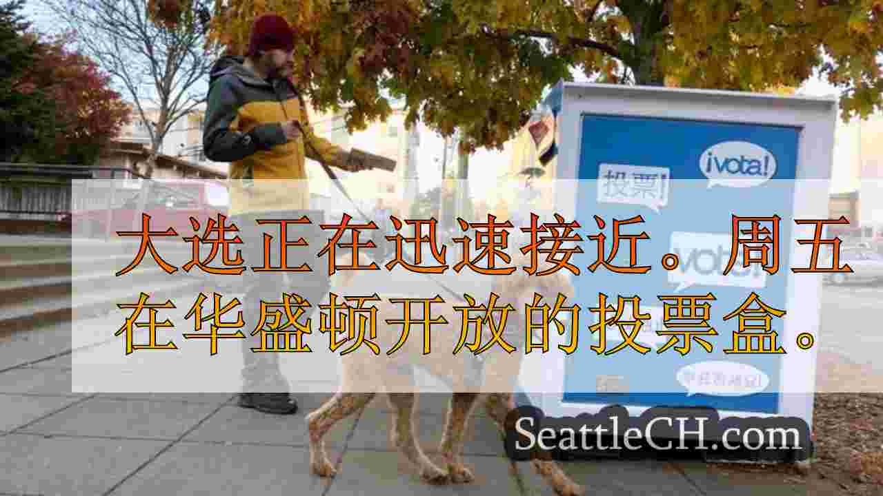 西雅图新闻 SeattleCH