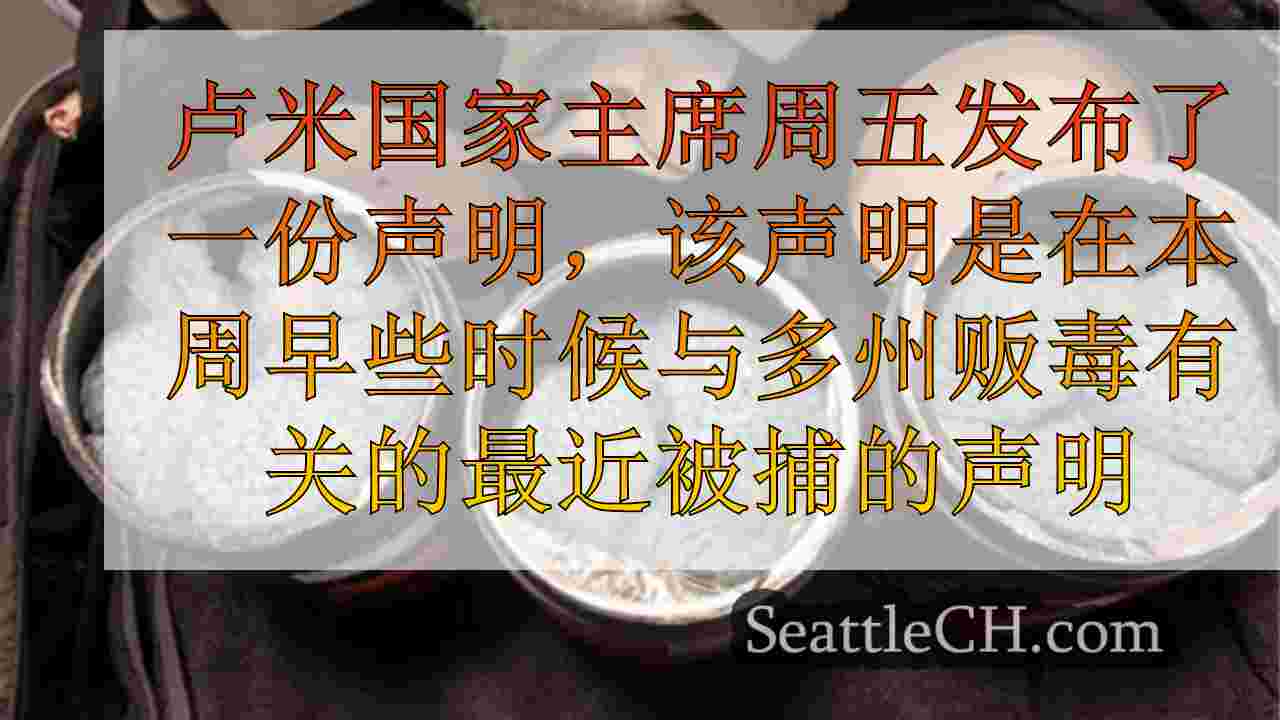 卢米国家主席在多州贩毒环被捕后发表讲话