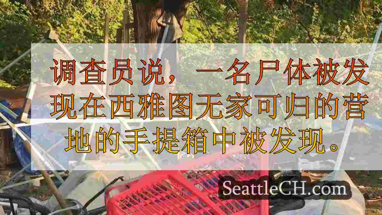西雅图新闻 SeattleCH