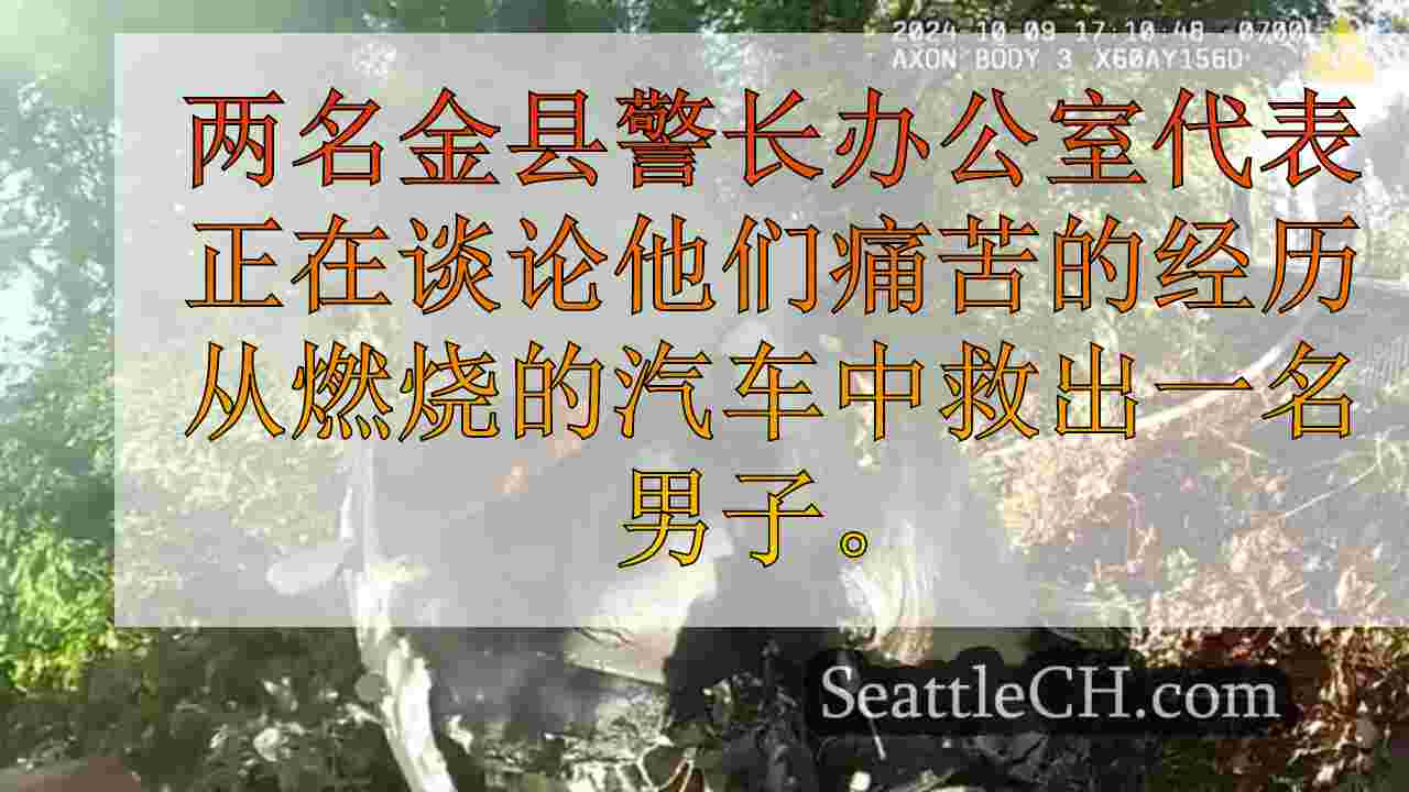 西雅图新闻 SeattleCH