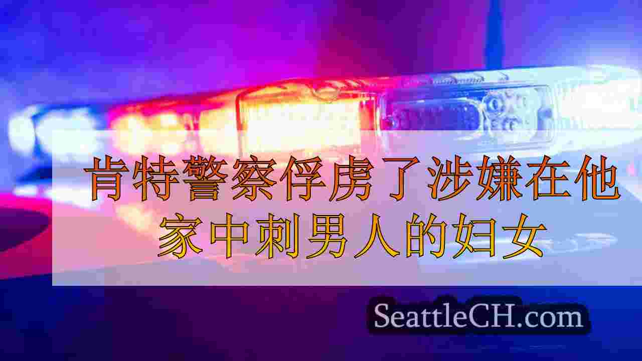 肯特警察俘虏了涉嫌在他家中刺男人的妇女