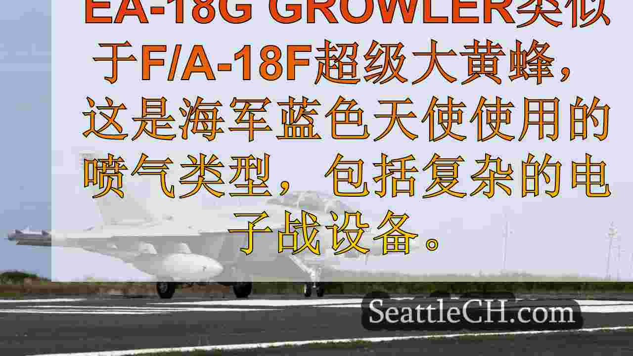 EA-18G Growler：关于雷尼尔山附近坠毁的海军喷气式喷气式飞机的知识
