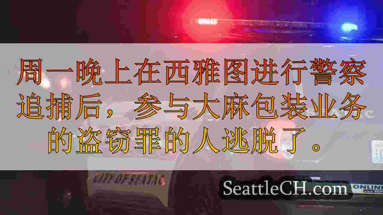 西雅图新闻 SeattleCH
