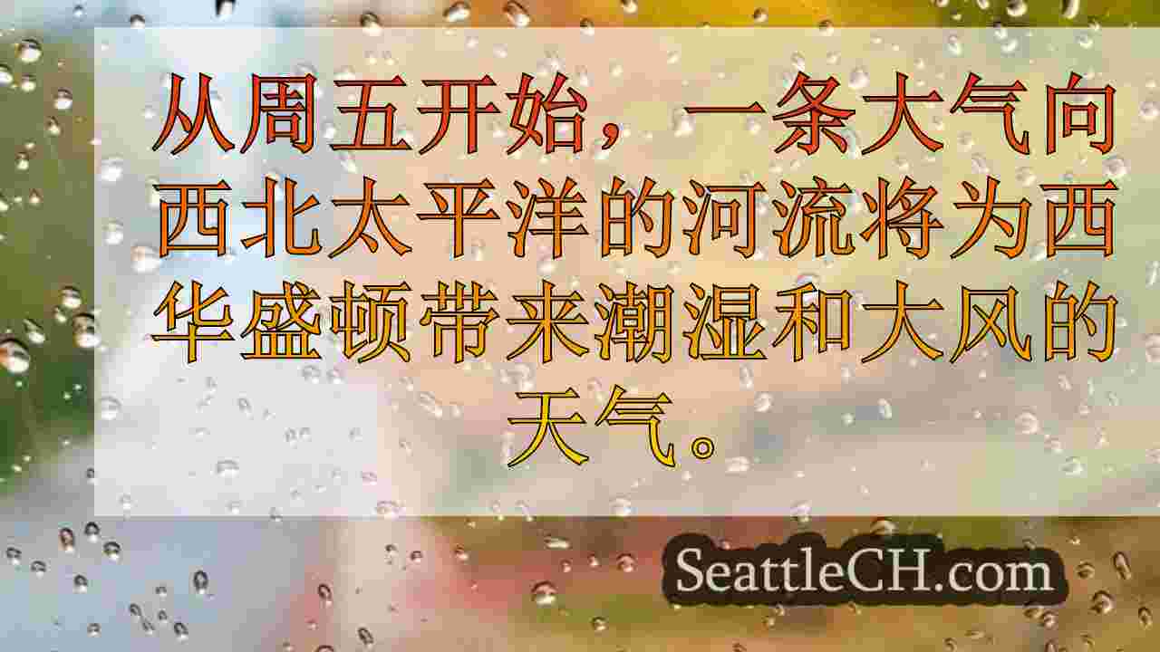 西雅图新闻 SeattleCH