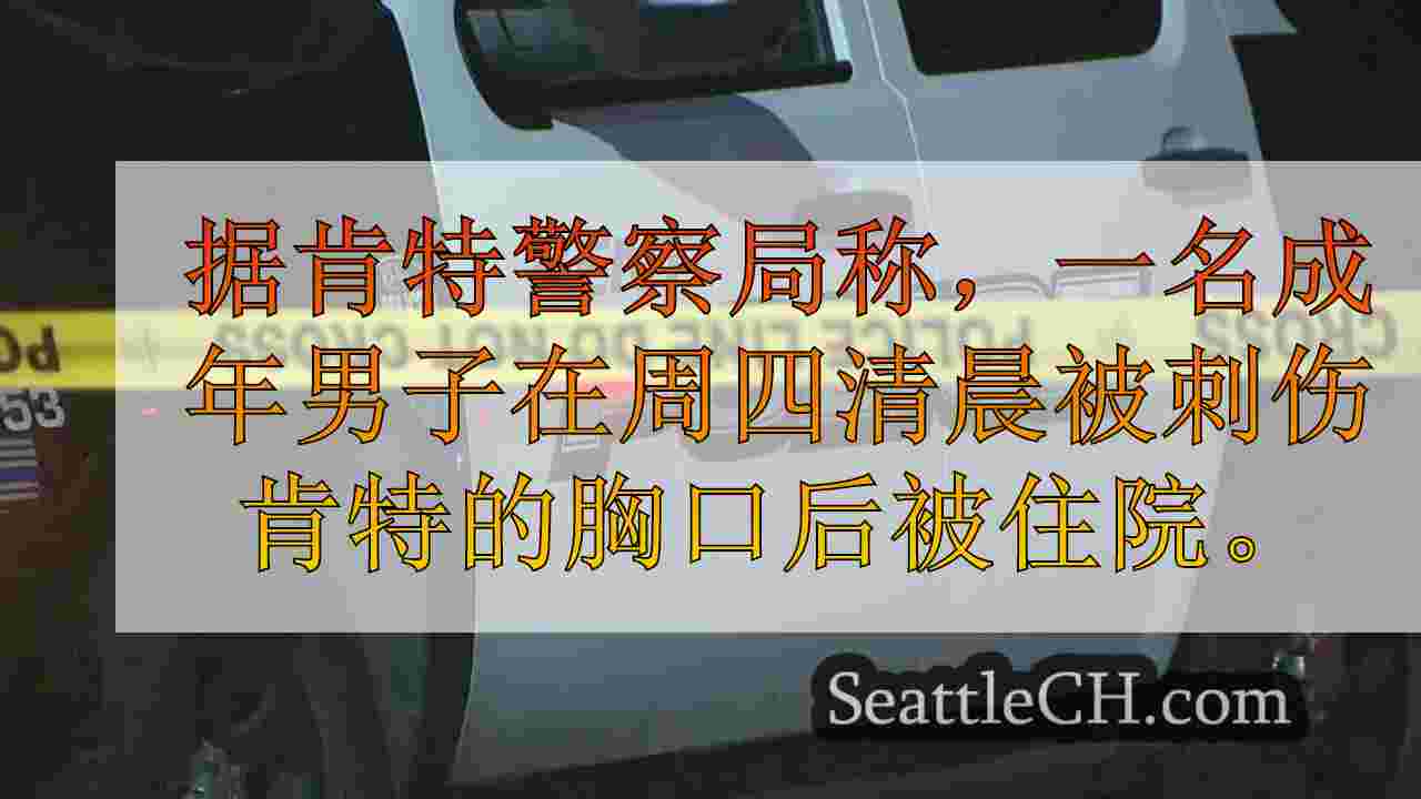 男人在清晨刺伤肯特
