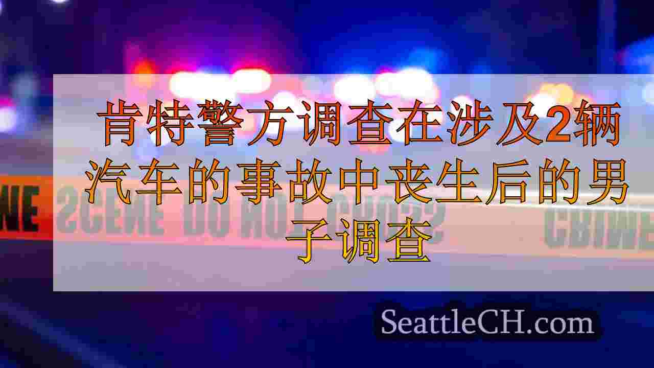 肯特警方调查在涉及2辆汽车的事故中丧生后的男子调查