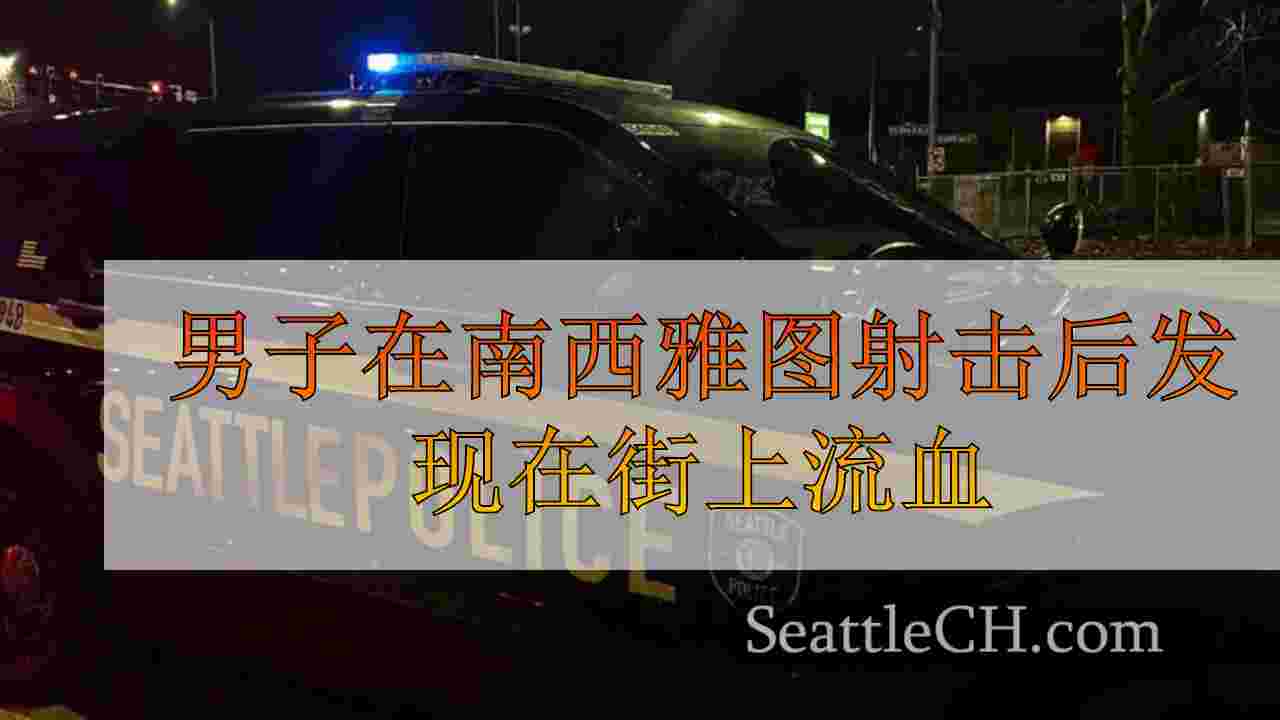 男子在南西雅图射击后发现在街上流血