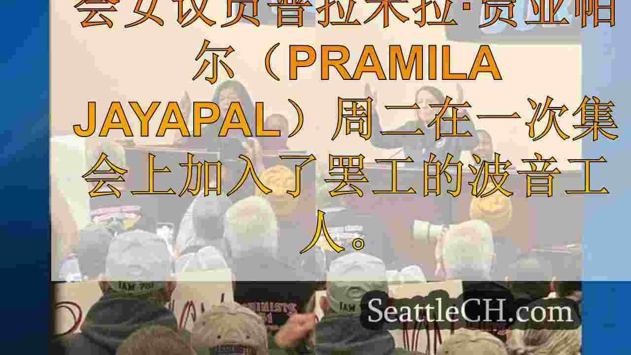 西雅图新闻 SeattleCH