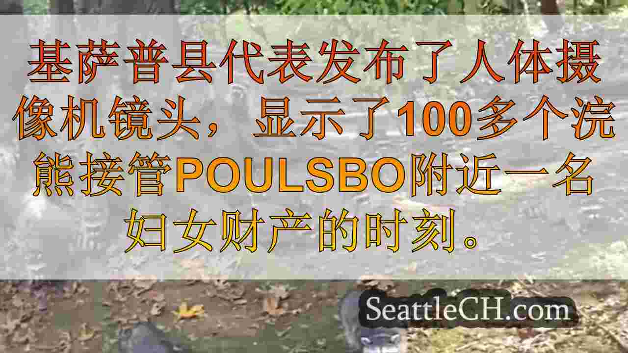 西雅图新闻 SeattleCH