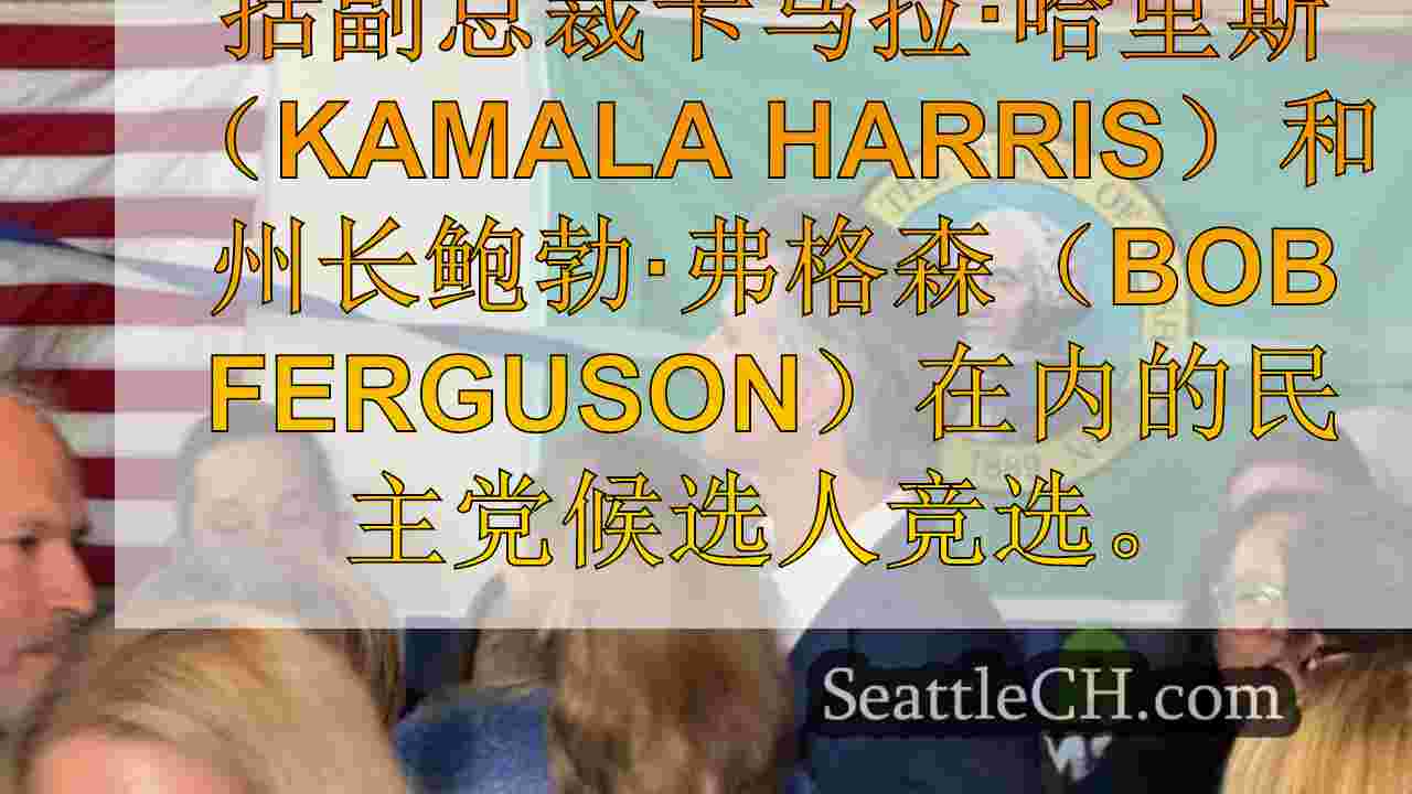 西雅图新闻 SeattleCH