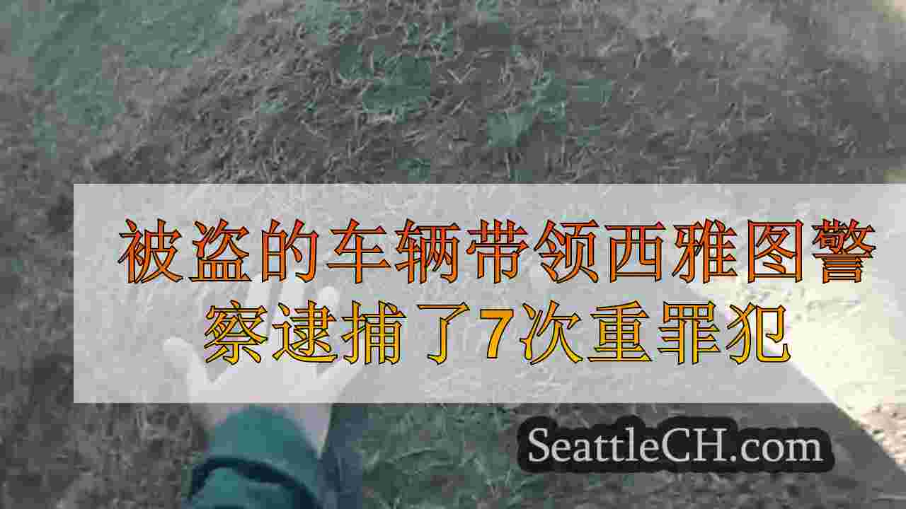 被盗的车辆带领西雅图警察逮捕了7次重罪犯