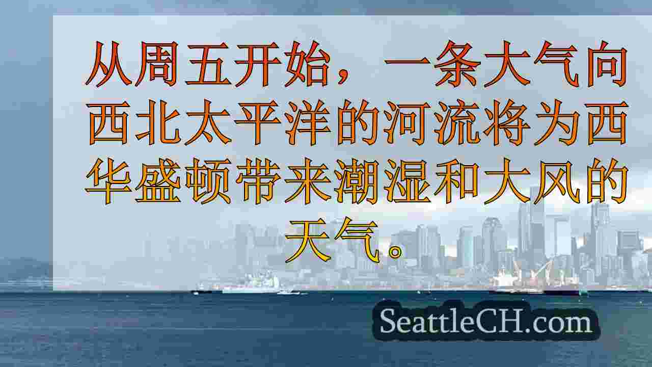为整个华盛顿西部度过一个潮湿又大风的周末