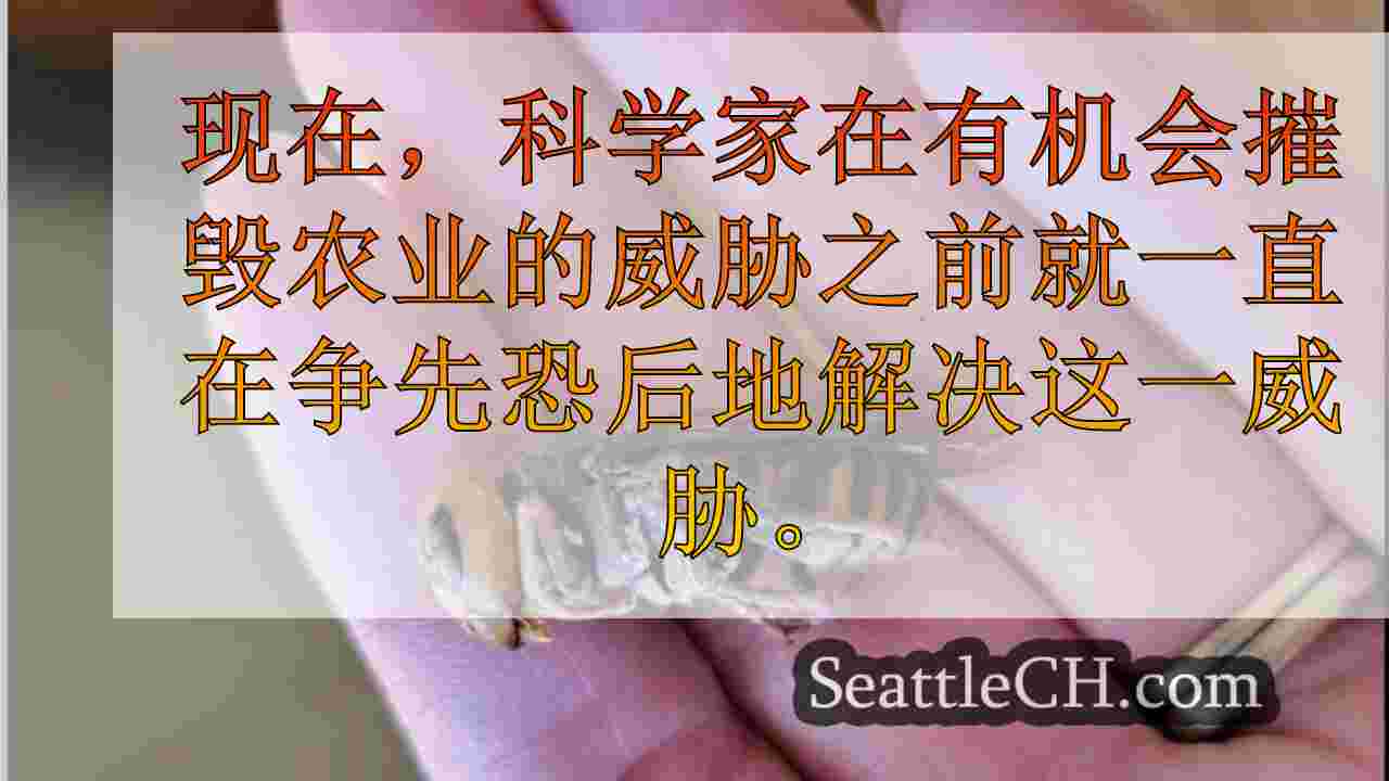 Kitsap县养蜂人处于边缘