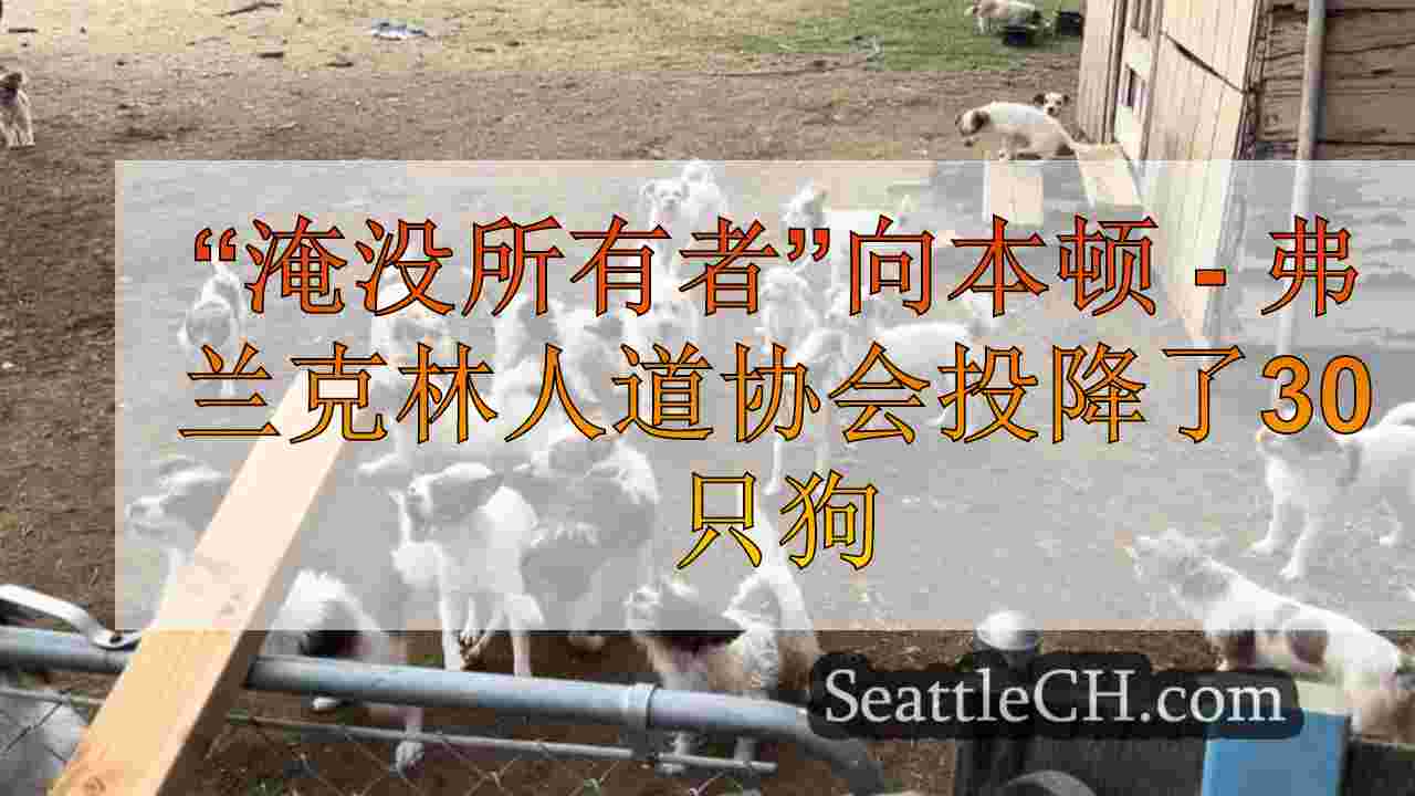 “淹没所有者”向本顿 - 弗兰克林人道协会投降了30只狗