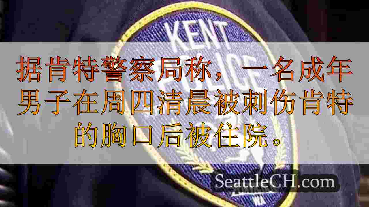 西雅图新闻 SeattleCH