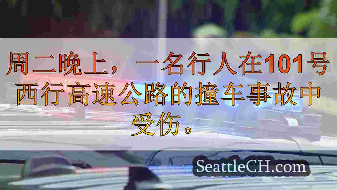 男子在WB 101的撞车撞车事故中受伤