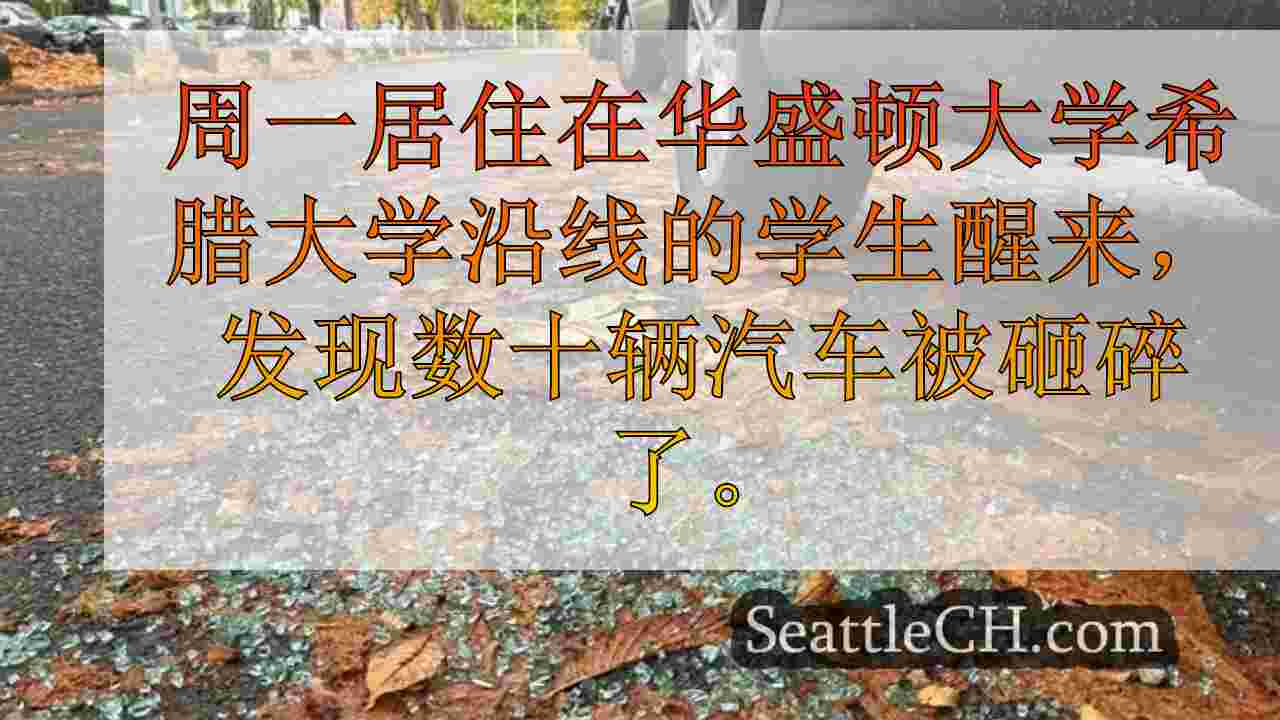 西雅图新闻 SeattleCH