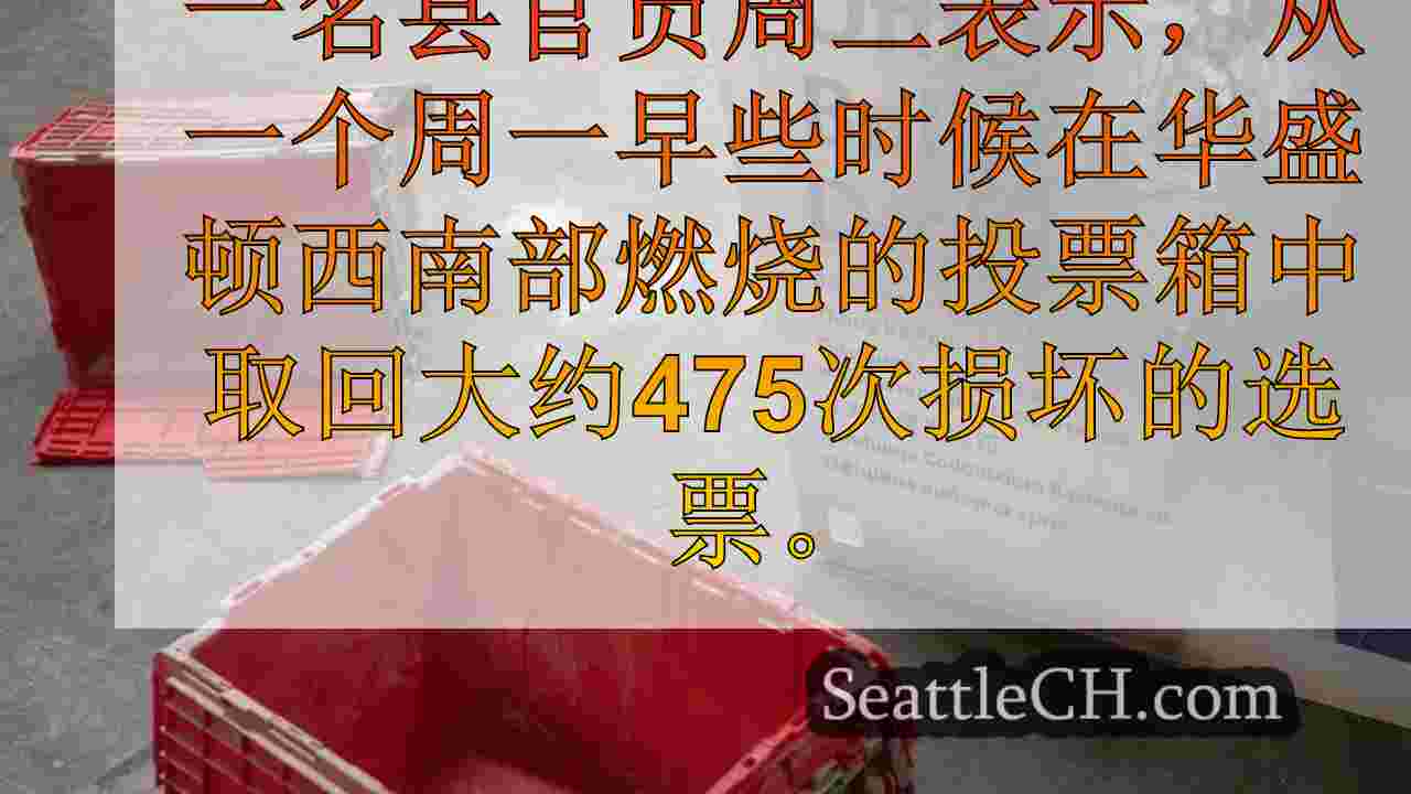 审计师说