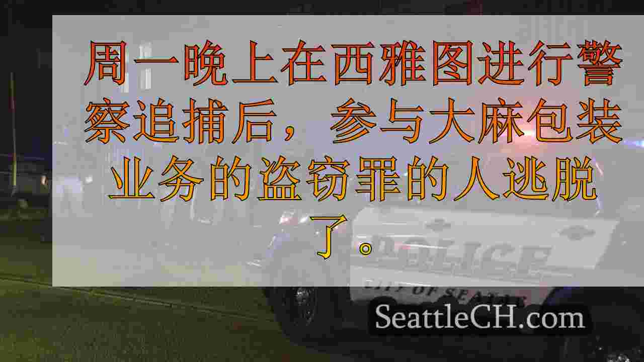 大麻包装公司在西雅图尝试入室盗窃的受害者