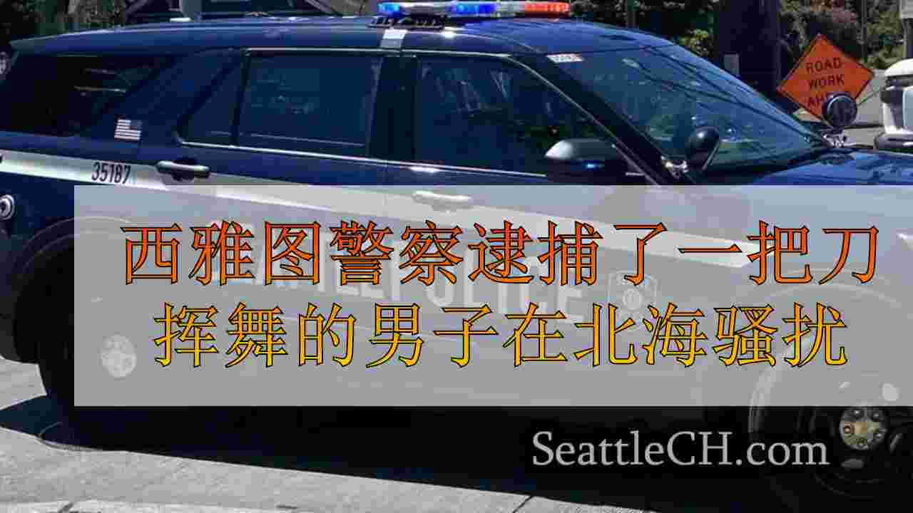 西雅图警察在北西雅图逮捕了一把刀具的人骚扰