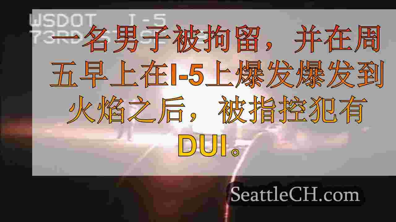男人似乎在前面燃烧的SUV上拍照，被指控犯有DUI和毒品。