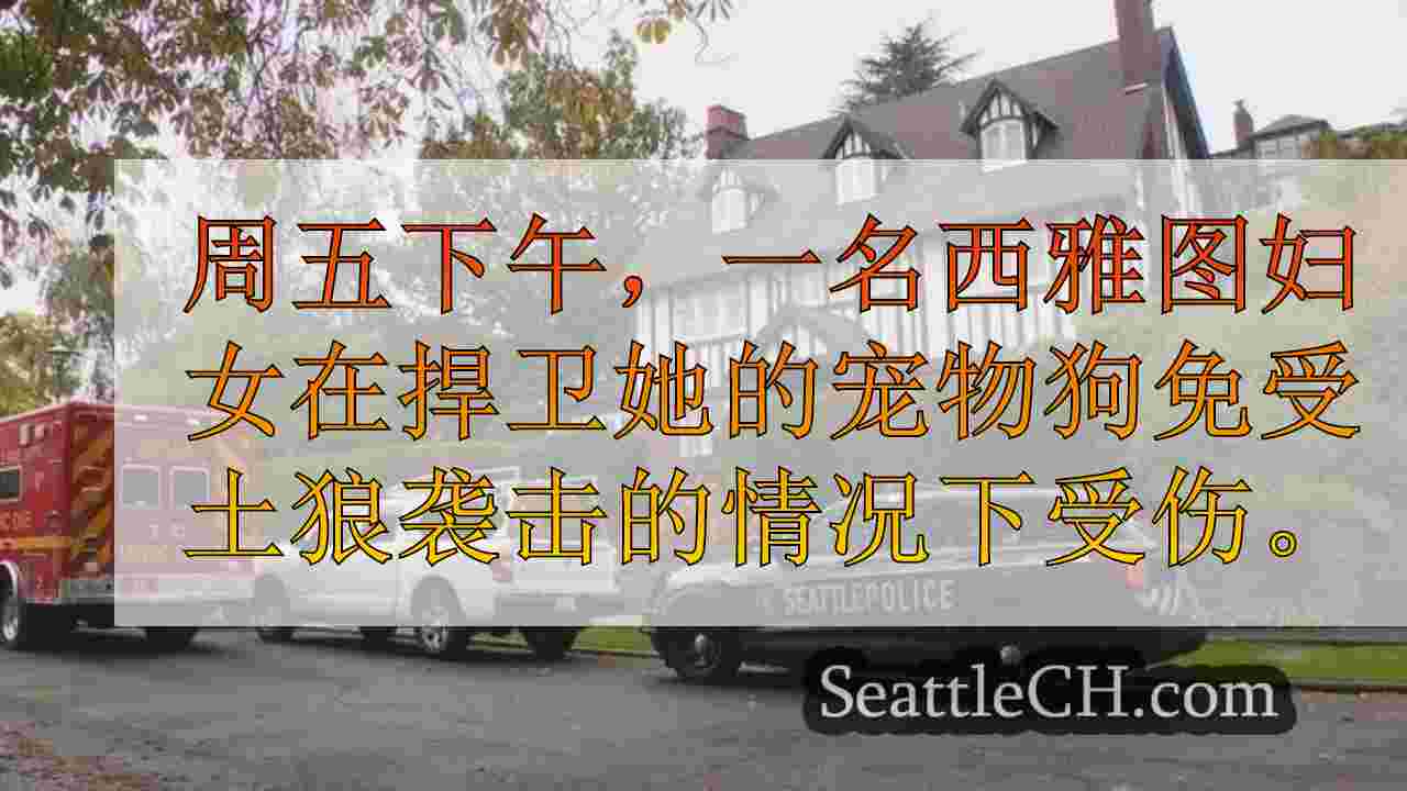 西雅图新闻 SeattleCH