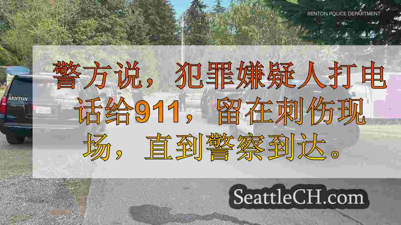 被指控致命刺伤65岁男子的伦顿现在失控的青少年