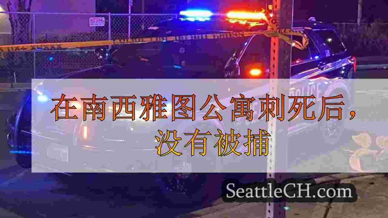在南西雅图公寓刺死后，没有被捕