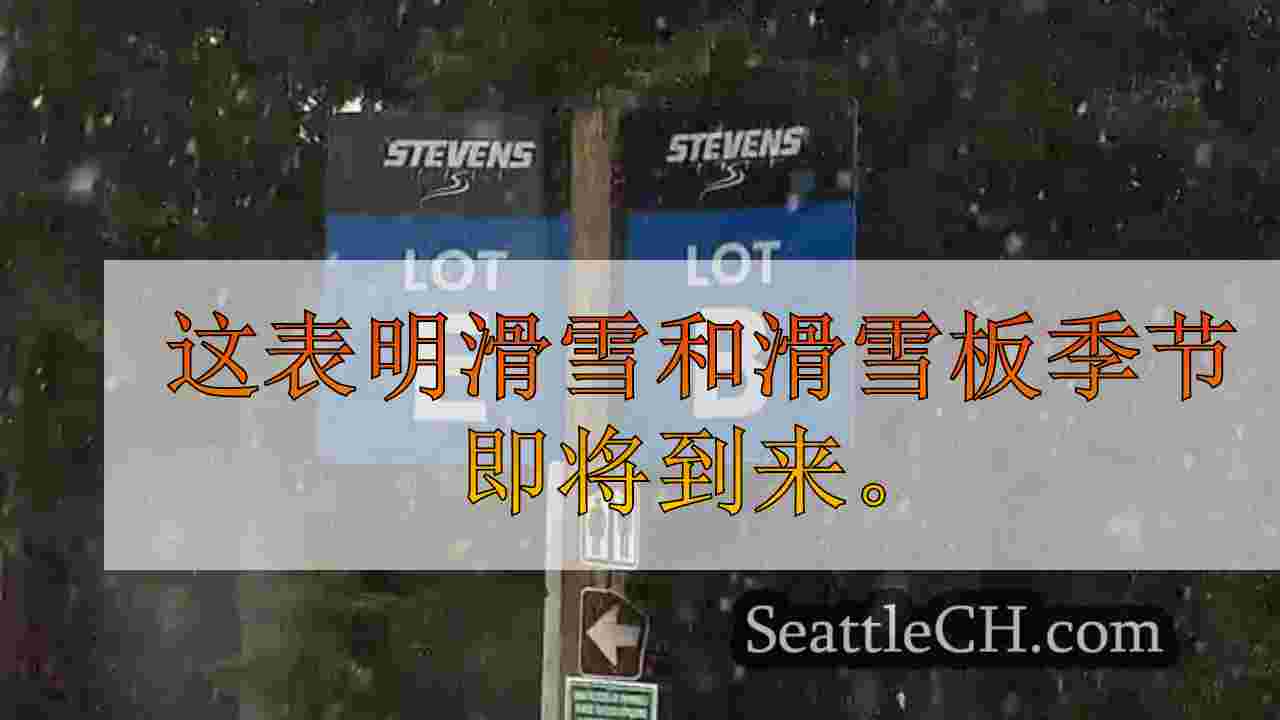 西雅图新闻 SeattleCH