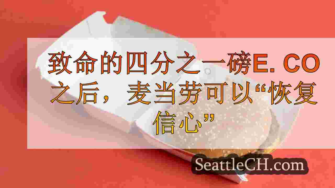 首席执行官说