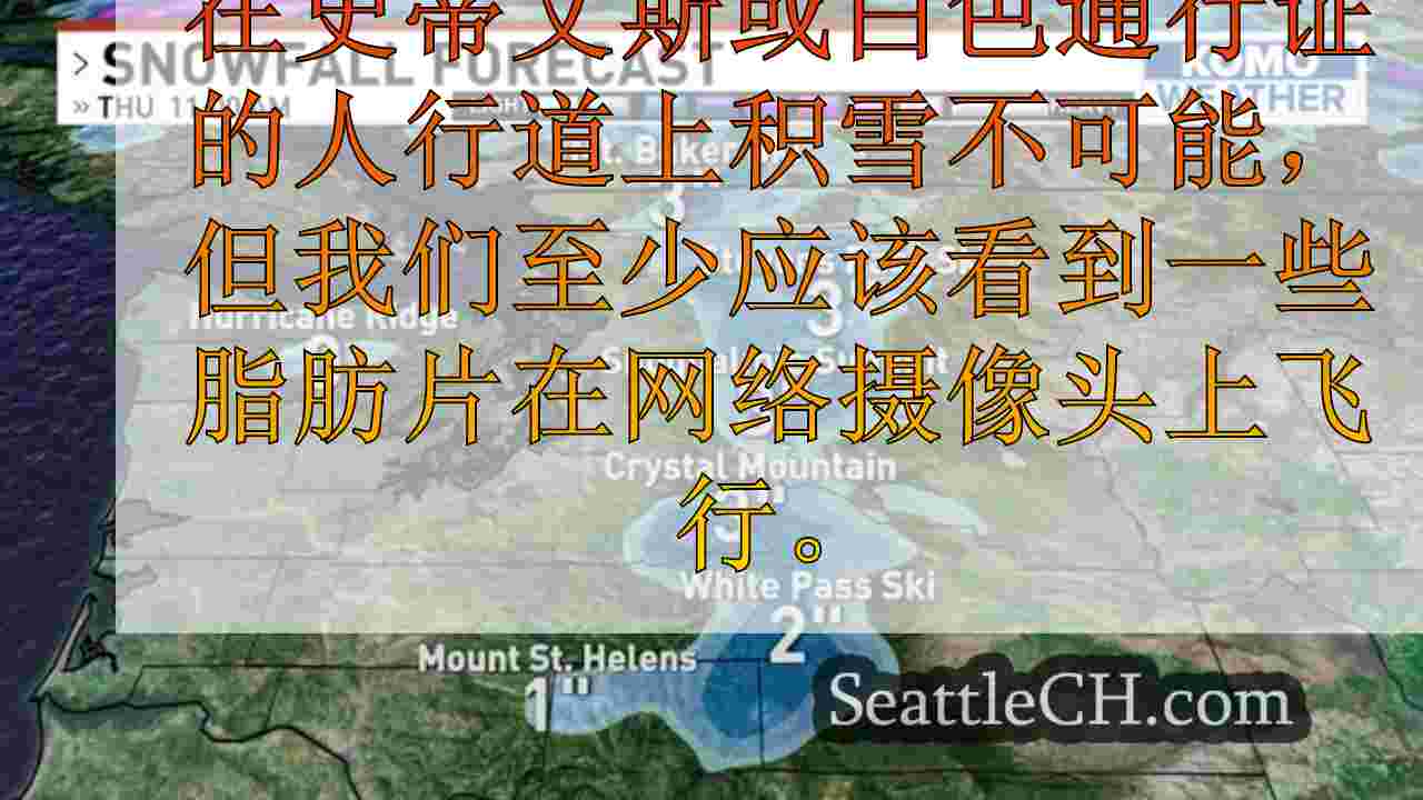 西雅图新闻 SeattleCH