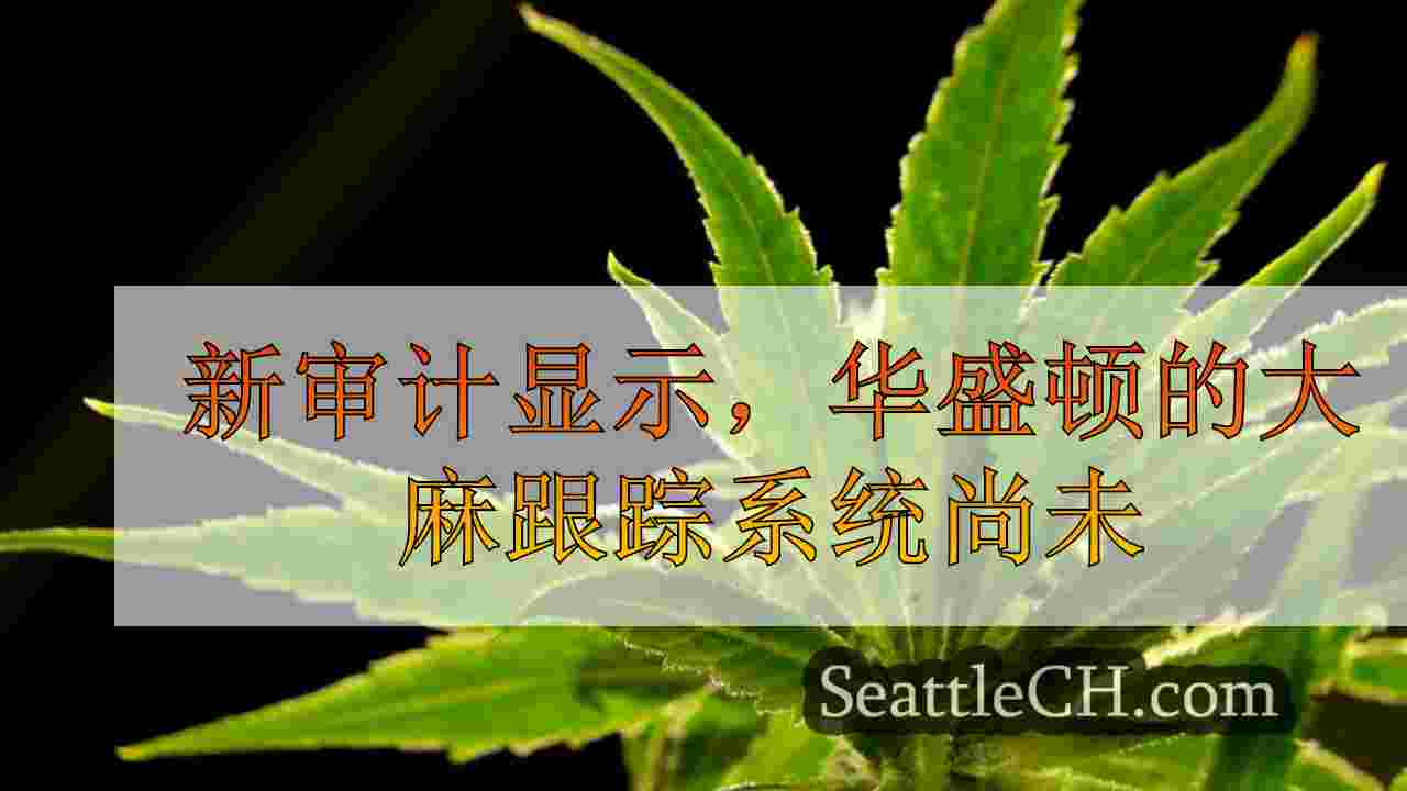 新审计显示，华盛顿的大麻跟踪系统“尚未完全实现”