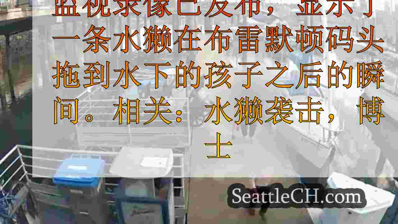 西雅图新闻 SeattleCH