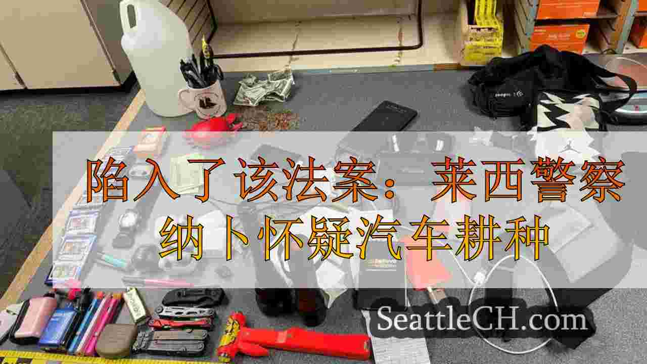 陷入了该法案：莱西警察纳卜怀疑汽车耕种