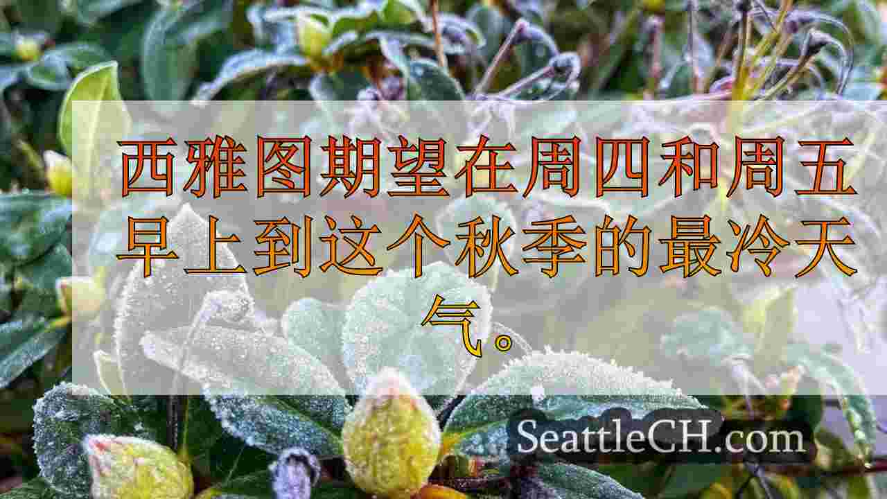 冻结手表实际上是华盛顿西部的牙套，用于到目前为止最冷的秋天温度