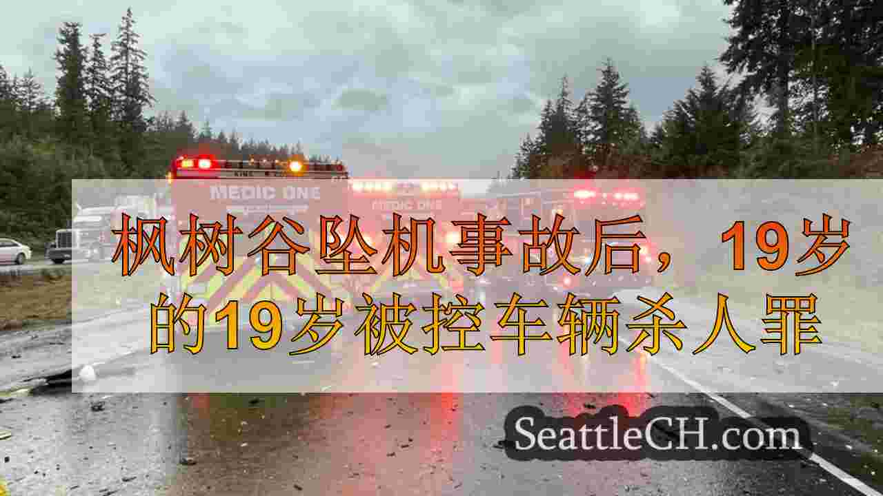 枫树谷撞车事故后，19岁的男子被控车辆杀人罪，杀死了蹒跚学步的蹒跚学步的母亲