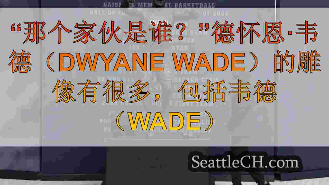 “那个家伙是谁？”德怀恩·韦德（Dwyane