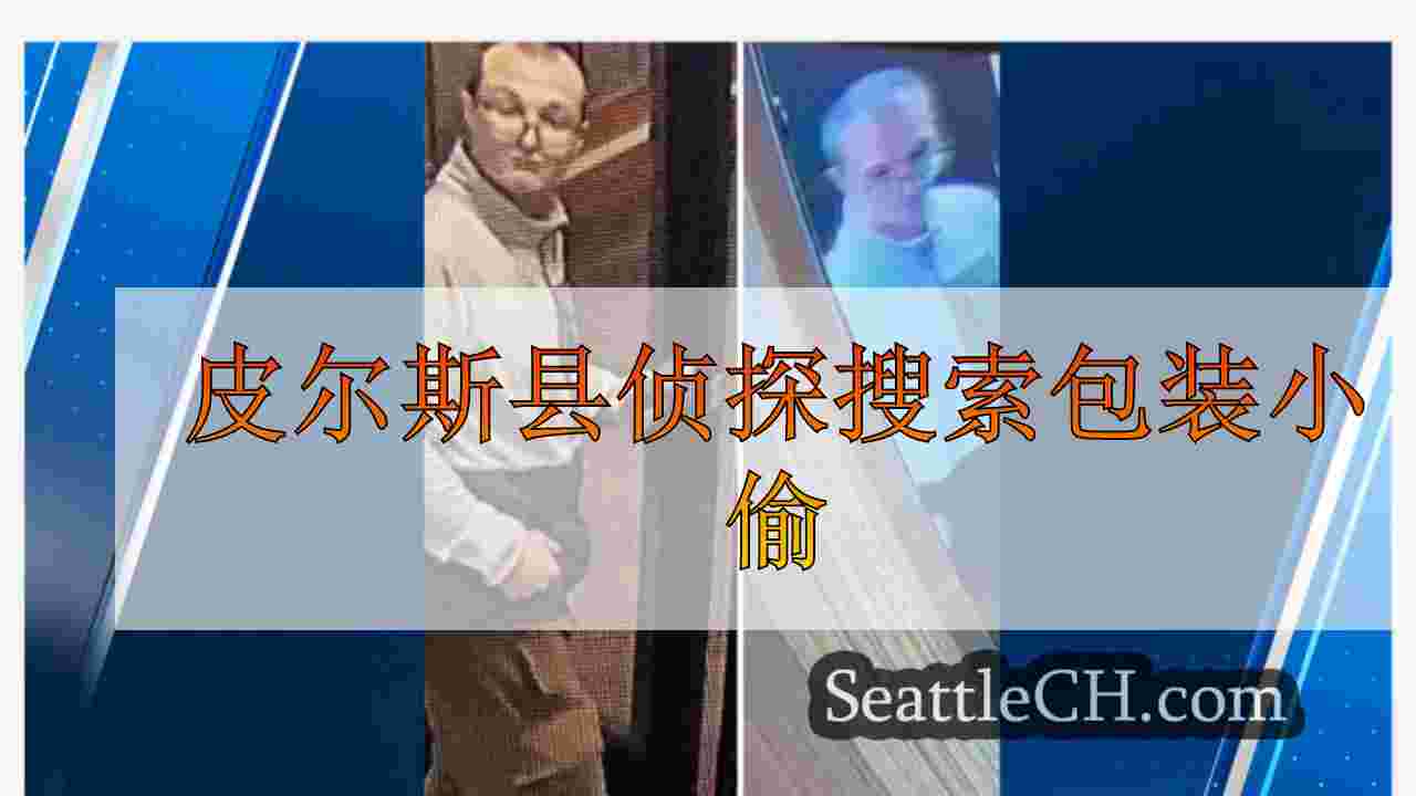 皮尔斯县侦探搜索包装小偷