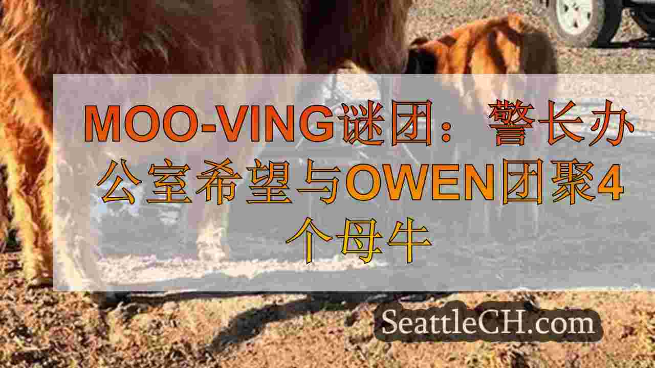 Moo-Ving谜团：警长办公室希望与Kittitas