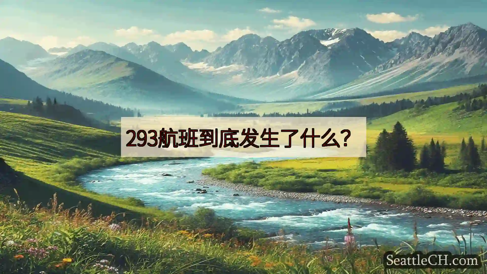 西雅图新闻 293航班到底发生了什么？