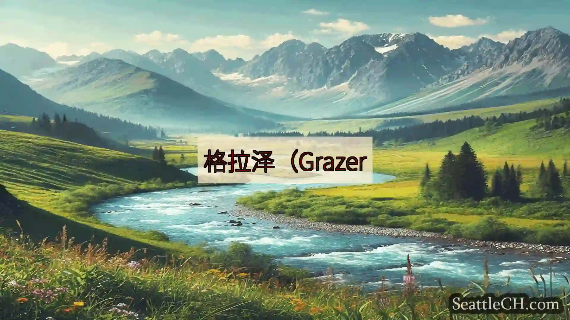 西雅图新闻 格拉泽（Grazer