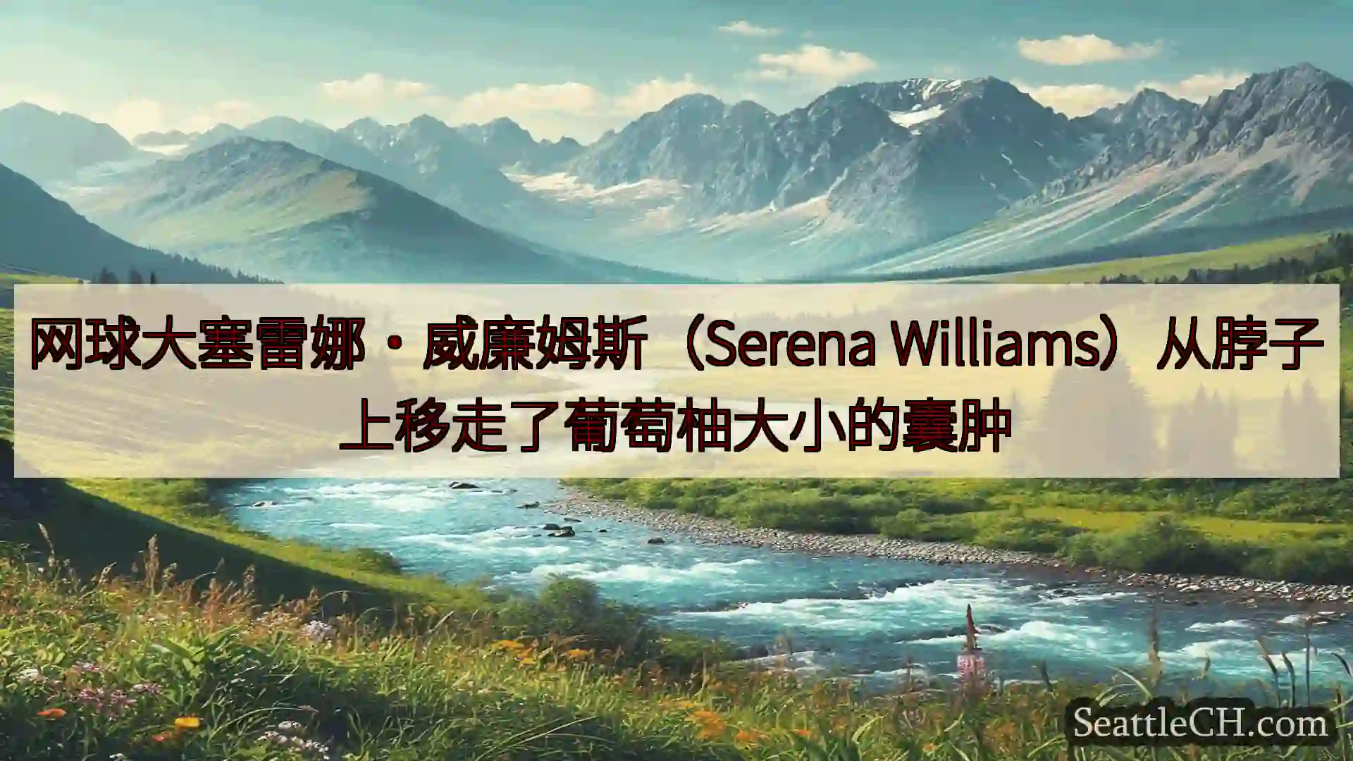 西雅图新闻 网球大塞雷娜·威廉姆斯（Serena