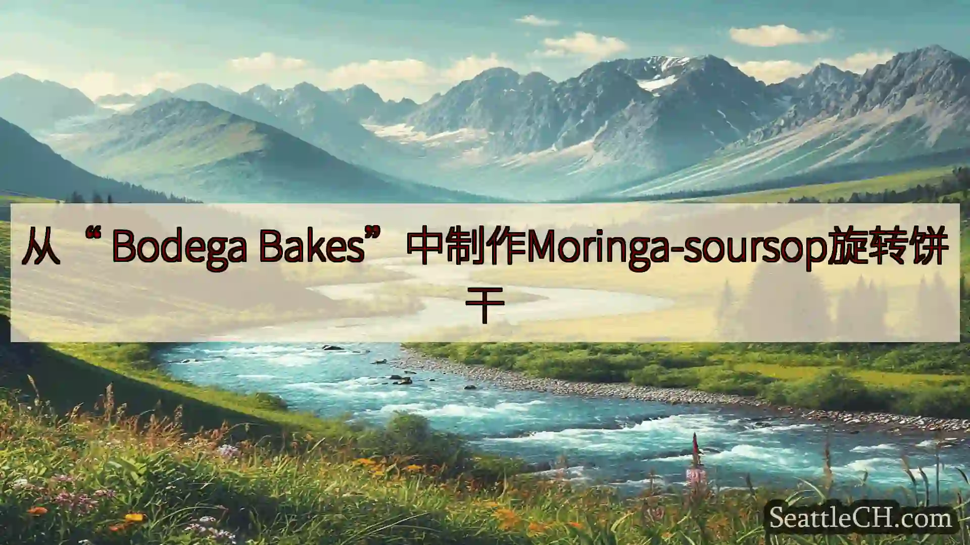 西雅图新闻 从“ Bodega