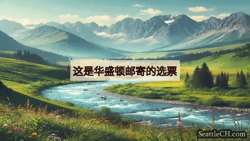 西雅图新闻 这是华盛顿邮寄的选票