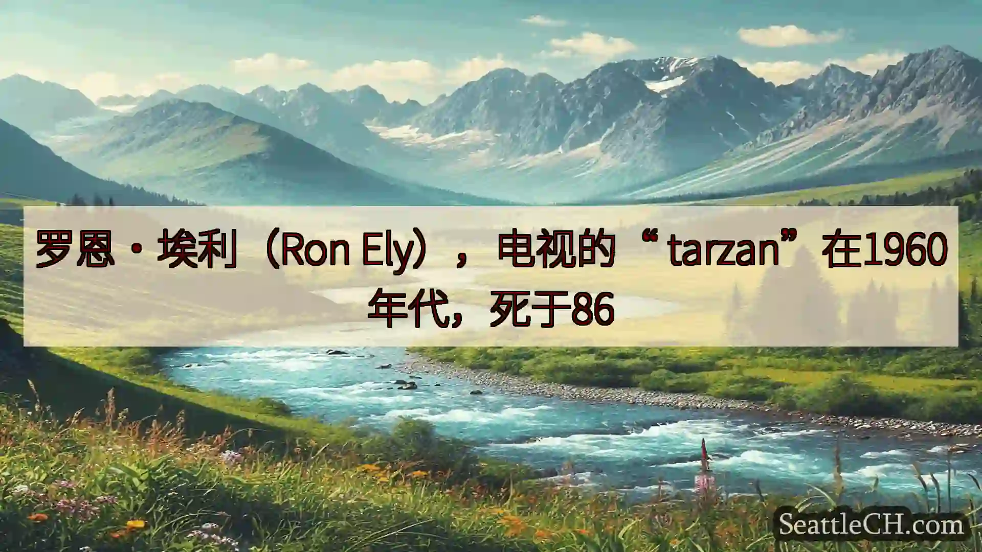 西雅图新闻 罗恩·埃利（Ron Ely），电视的“