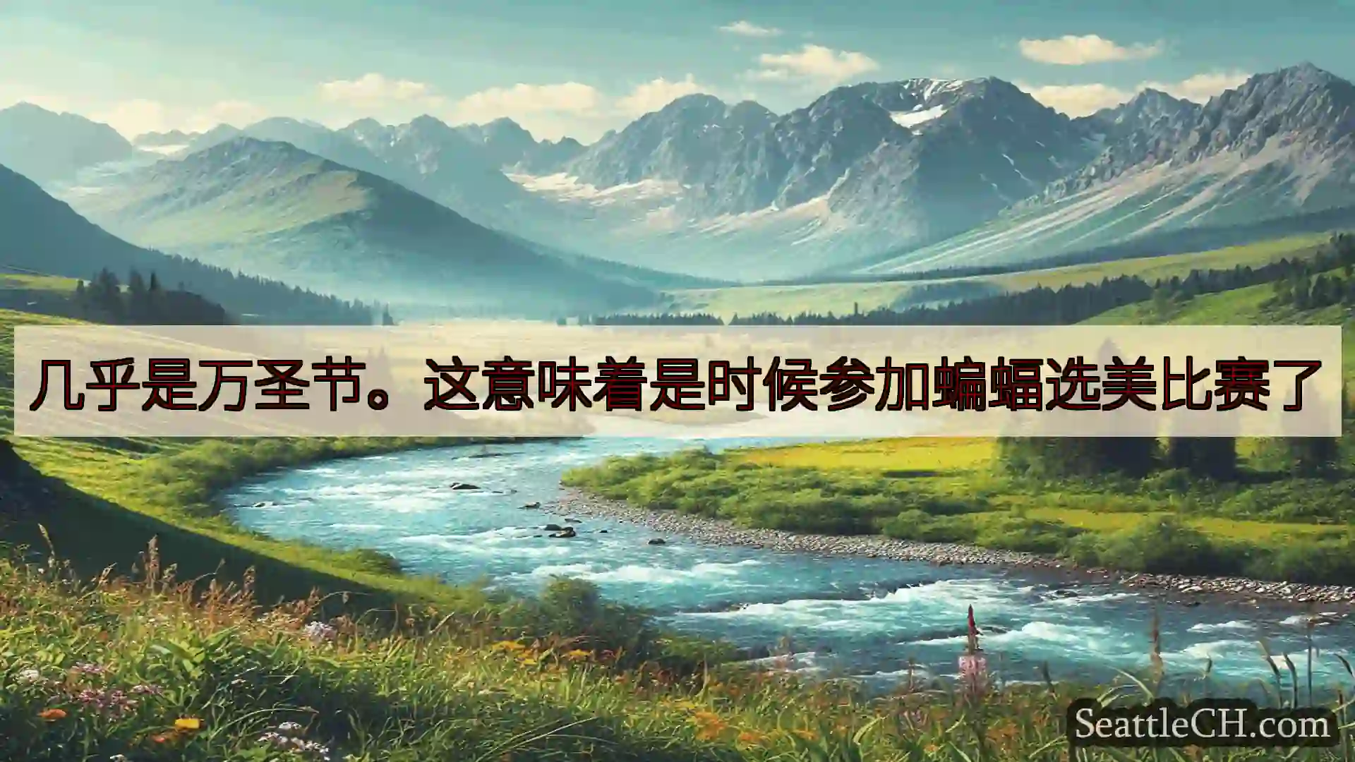 西雅图新闻 几乎是万圣节。这意味着是时候参加蝙蝠选美比赛了